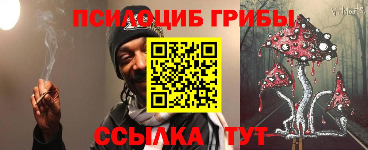 Псилоцибиновые грибы MAGIC MUSHROOMS  Вход с VPN  Саранск 